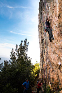 Jason and the Argonauts