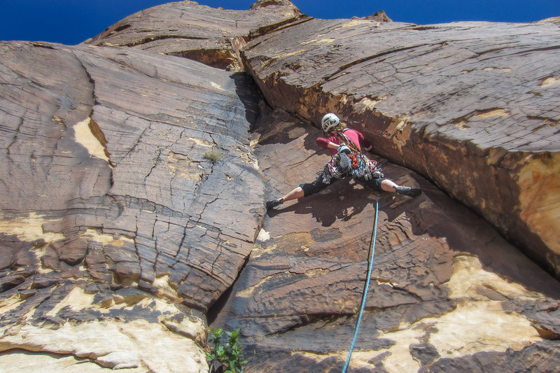 This is the steep and stout crack on P.2 of Rainbow Buttress. It will give you a taste of things to come! Good jams and wide stems! We belayed using the crack with the bush in it in the lower part of the photo, which allowed Sara to keep some of the bigger cams for later. 