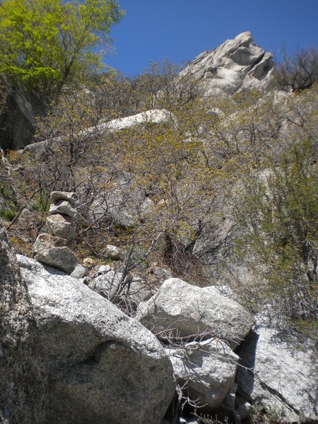 Though schwacky, the approach is marked by cairns along the way and has tunnels of access through the scrub oak