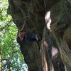 Kevin starting the first crux