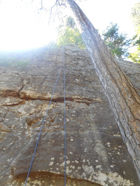 One very fun sequence that continues through the first two bolts, and then the climbing eases. I would tend toward 5.8 on this one. Rated 7 in guidebook. Enjoyable climb.