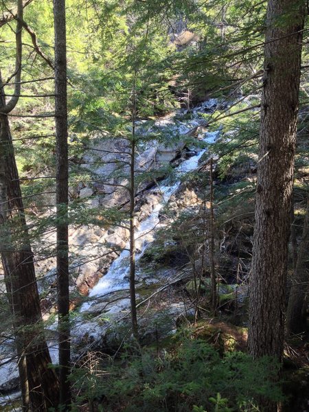 Cascade by Crawford Path