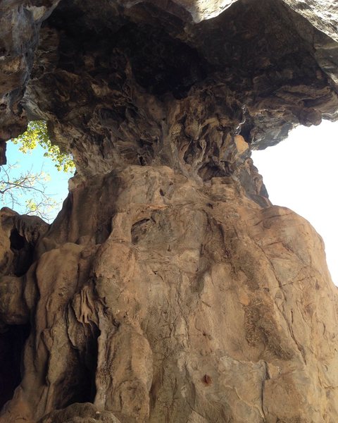 Looking up into the archway