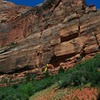 Weeping Rock as seen from the road near the Weeping Rock shuttle stop. The short approach begins just left of a storm drain on the shoulder of the road. The start of the first pitch is marked by the yellow line.