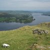 Looking north from the summit of Hallin Fell up the north end  of Ullswater Lake