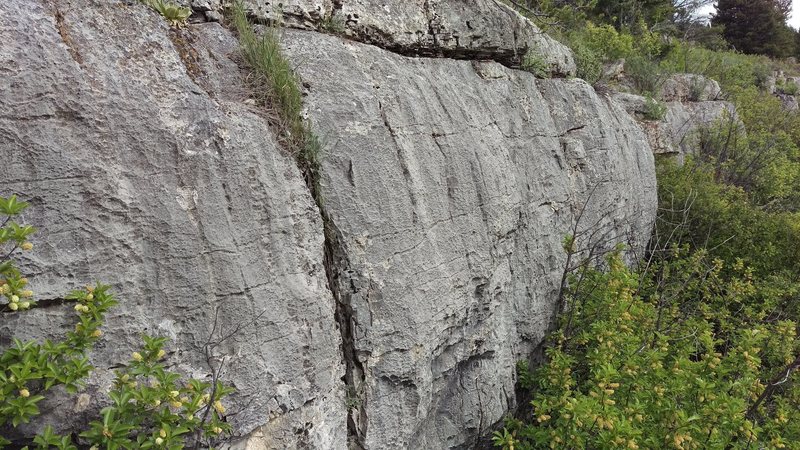 This wall was too hard for me, and there is poison ivy.  V12