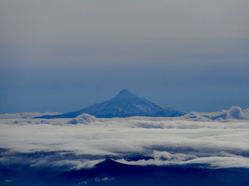 Mt. Hood from Mt. St. Helens.