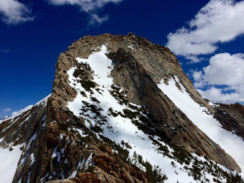 Mt Clark from the NW. May 2016