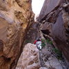 p4, the honeycomb chimney pitch