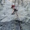 Evan Wisheropp TR soloing up the crack.