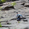 Headed up P3 (back on "mainline" route)[We are still not sure whether the route steps Left to the thin cracks, or climbs straight up to the right of the bolt...or climbs right then traverses left to the top of the thinnest crack.)  