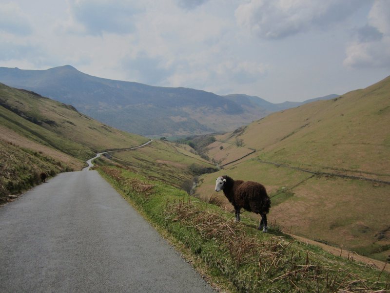 Newland's Pass