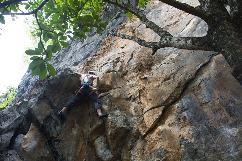 Katie at the second bolt of Elephant Leather