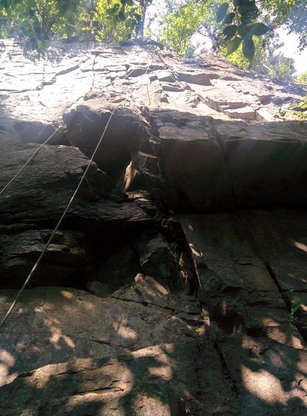 Looking up Horn of Plenty. After the start the route traverses right and follows a crack to a two bolt anchor under the big tree.