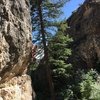 After getting through the bouldery crux on the Barnum Route