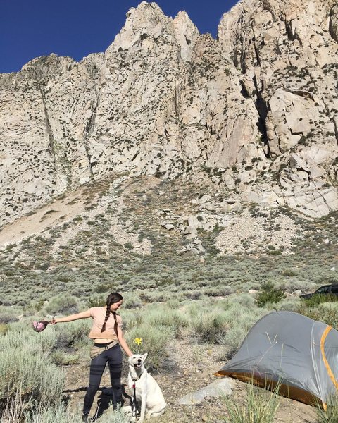 Lady's first day as a crag dog up at Pine Creek