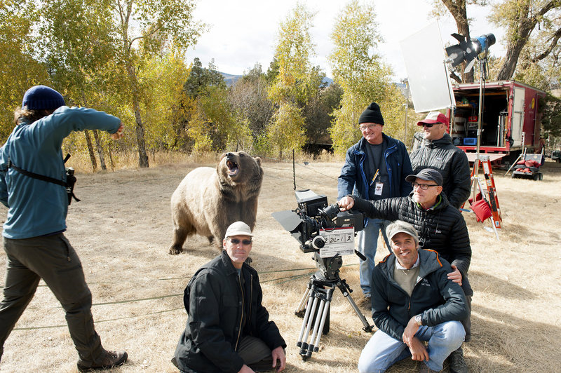 "trained" Grizzly bear shoot ... 