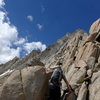 finally off the scree (for the moment)