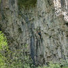 Matthew Garvin, exiting the funky beginning corners, contemplates the crux moves that await.