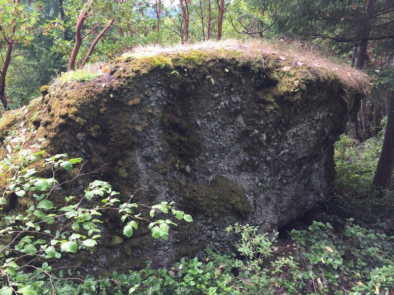 boulder at fossil rock