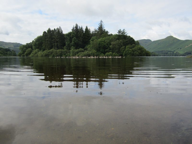 Geese on Derwentwater