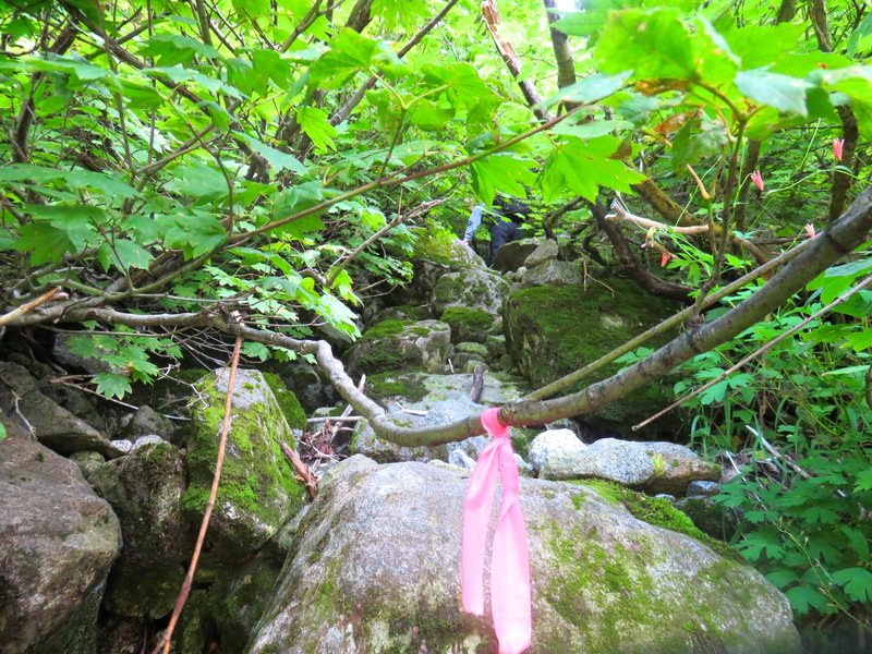 Approach beta: the rocky brush tunnel just right of the waterfalls.