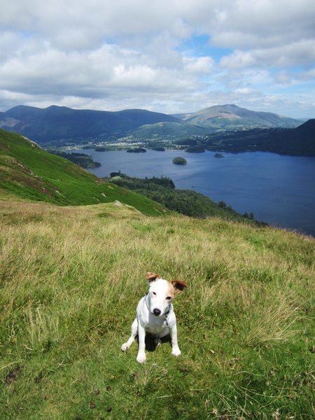 Bess and Derwentwater 