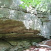 Sunfish Pond Roof