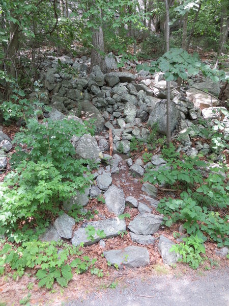 Slime Wall / WASP approach trail.  The next trail is [[Almost Pure and Simple]]112043556.