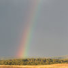 Wyoming rainbow