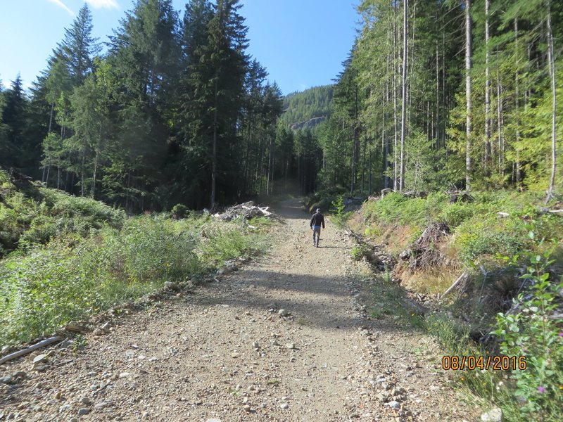 Walking the logging road to Northwood Bluffs.