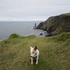 Its about an hours walk to the sea Stack ..Old man of Stoer 