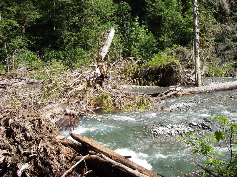 Just as you leave the parking lot, you need to cross the river on an old log.