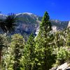 Mt Charleston Peak