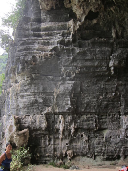 Second bolt line from the left, up to the roof