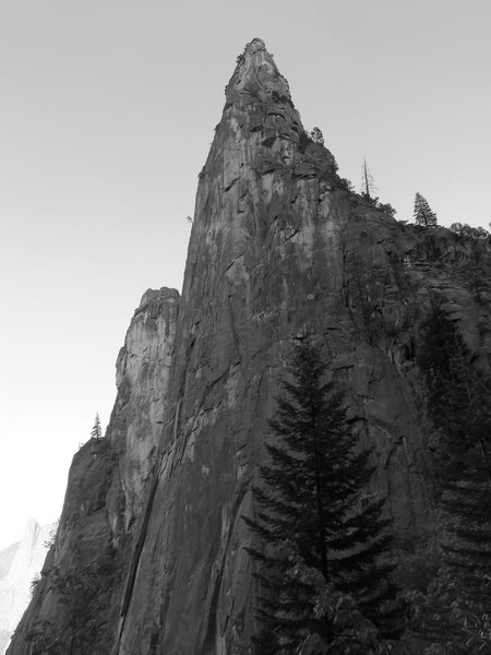 Higher Cathedral Spire.