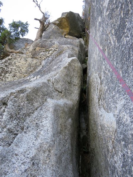 This might be the notorious 5.8 squeeze section on the last pitch that you can only protect if you lug a #5 cam up the route. We didn't find it nearly as terrifying as the comments made it out to be. It is indeed unprotectable if you don't have a #5, but it is also 5.8. The #5 was not needed anywhere else on the route. After this section, the actual route as per the SuperTopo goes left at the tree and up a 5.8 chimney that is out of view, but Ryan forgot this and continued up the direct line into the chimney above. This is labeled as the "dirty chimney" on Clint's drawing on this SuperTopo post. The chimney was actually pretty decent 5.8ish climbing underneath the dirt and it made for a nice direct line to the top.