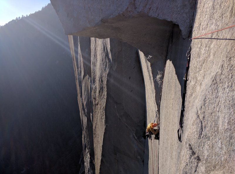 Great Roof.  Photo by Stephen Guyette.