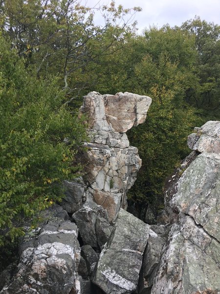 Wolf's Head Pillar, standing guard over the boulder garden at the North end of Wolf Rock