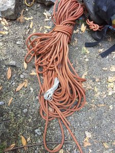 This is what the flake at the start of P2 did to a party in front of us when the leader fell. The BD #3 behind the flake did hold, but the rope got a core shot. They bailed.