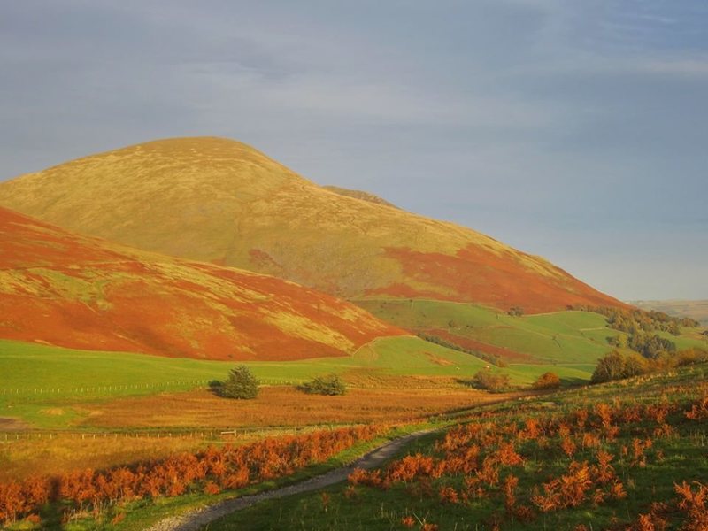 Blencathra Mt Autumn 