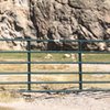 DO NOT CLIMB OVER THE GATE! This land is privately owned and the land owner has replaced this gate twice already.  If we break this gate again, there is a good chance the land owner will close the area to climbers!