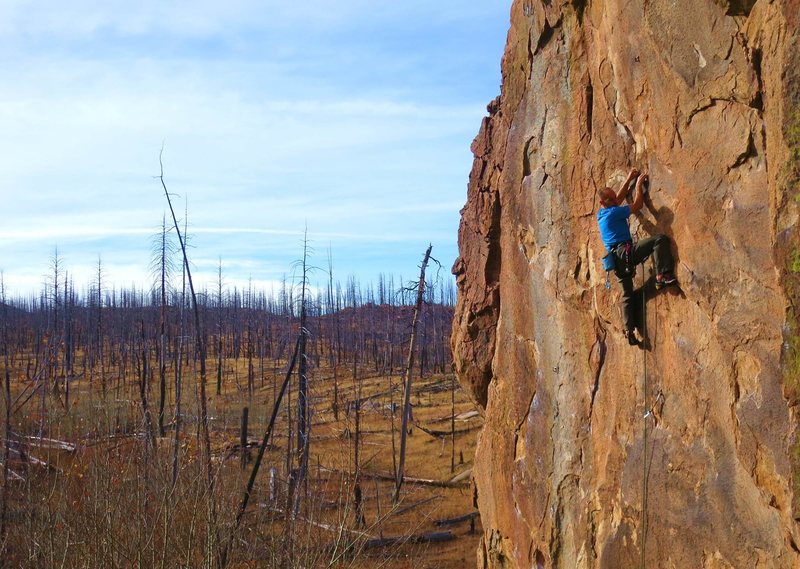 Mike Anderson making the FA of the Real Deal (13c?).