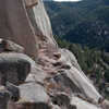 Looking at the nice ledge. 