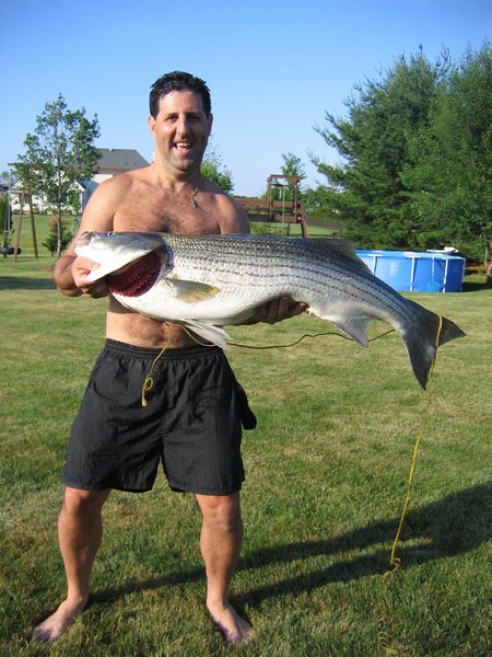 Caught this striper while kayaking off Deal NJ in 2008