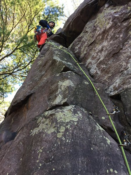 Mason on what could be the FA of Crows Nest.