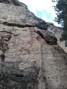 Left-leaning bolt line.