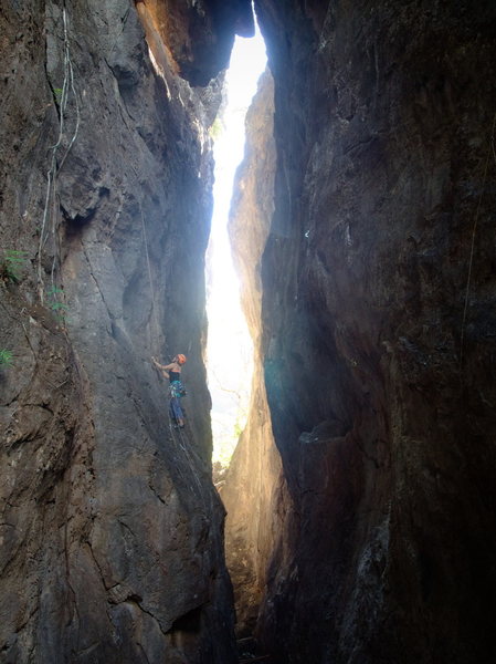 Kinuyo exploring Kim und Struppi 6a