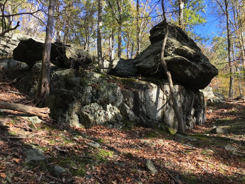 The distinctly brooding backside of Jabba the Hutt<br>
Catoctin Mountain Park, Maryland