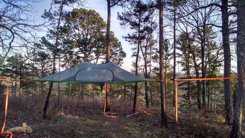 Tentsile Stingray